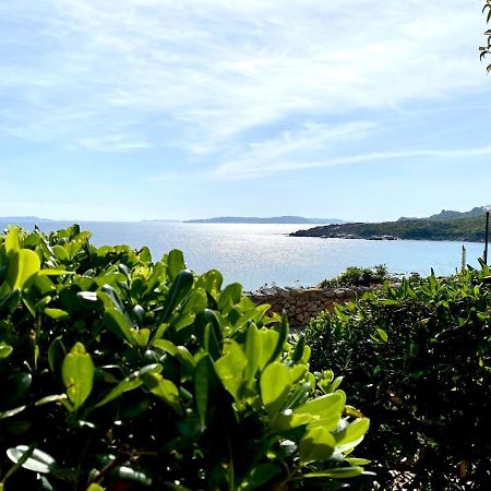 Appartamento Fronte Mare 圣特雷莎加卢拉 外观 照片