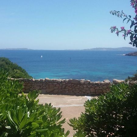 Appartamento Fronte Mare 圣特雷莎加卢拉 外观 照片