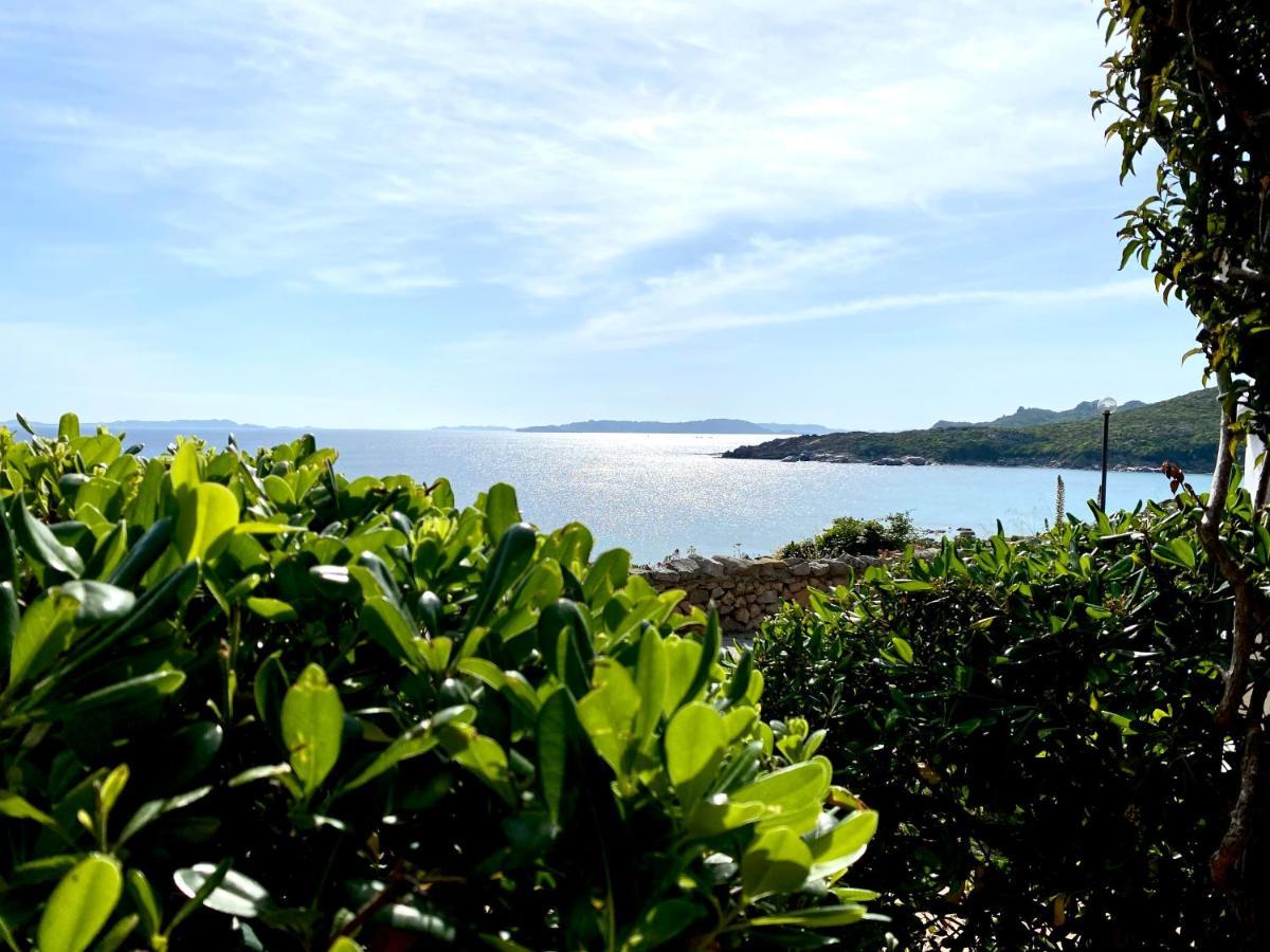 Appartamento Fronte Mare 圣特雷莎加卢拉 外观 照片