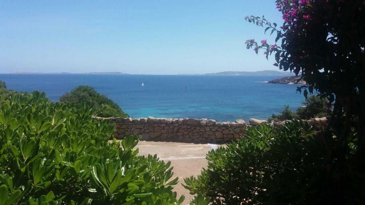 Appartamento Fronte Mare 圣特雷莎加卢拉 外观 照片