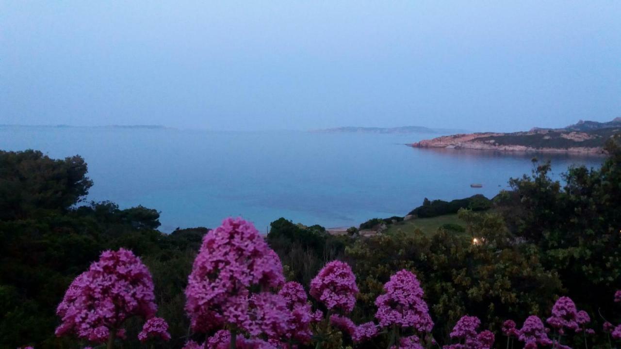 Appartamento Fronte Mare 圣特雷莎加卢拉 外观 照片